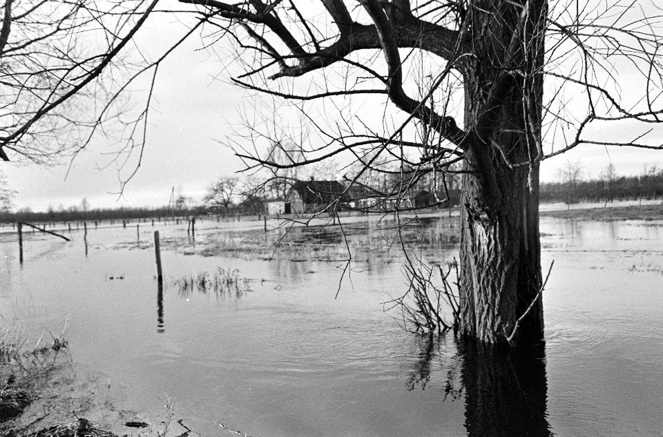 Wateroverlast in Gelderse vallei, Bestanddeelnr 919-8485