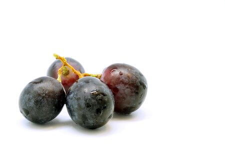 Fruits blue healthy