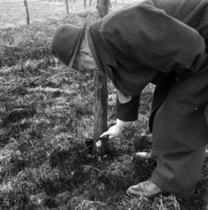 Wegbeplanting, grasbermen, afgebrand, wilgen, schades, Bestanddeelnr 164-0524