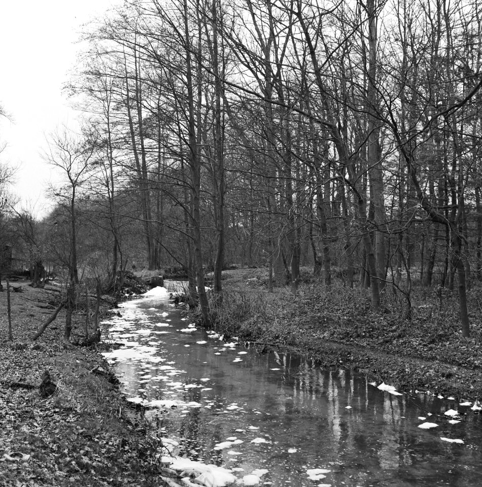 Watervervuiling, baakse beek, Wichmond, Bestanddeelnr 168-0630