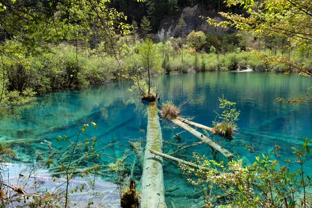 Sichuan china the scenery photo