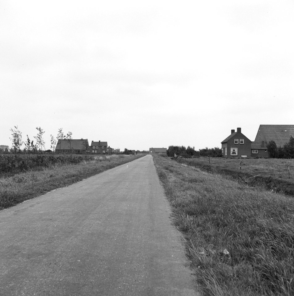 Wegaanleg bij Papesteeg (ruilverkaveling Maas en Waal), Bestanddeelnr 161-0761