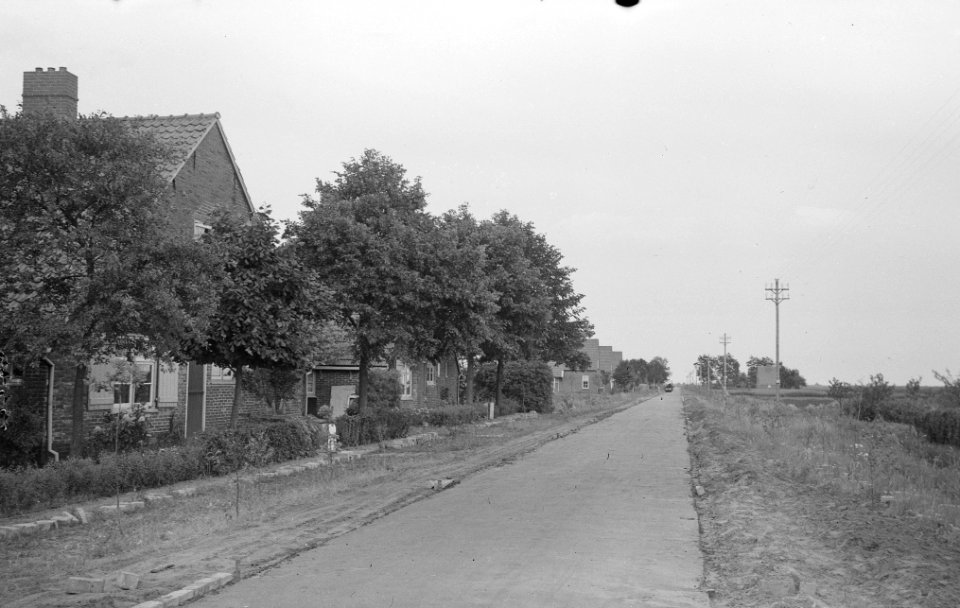 Wegen, huizen, bomen, Bestanddeelnr 251-3298