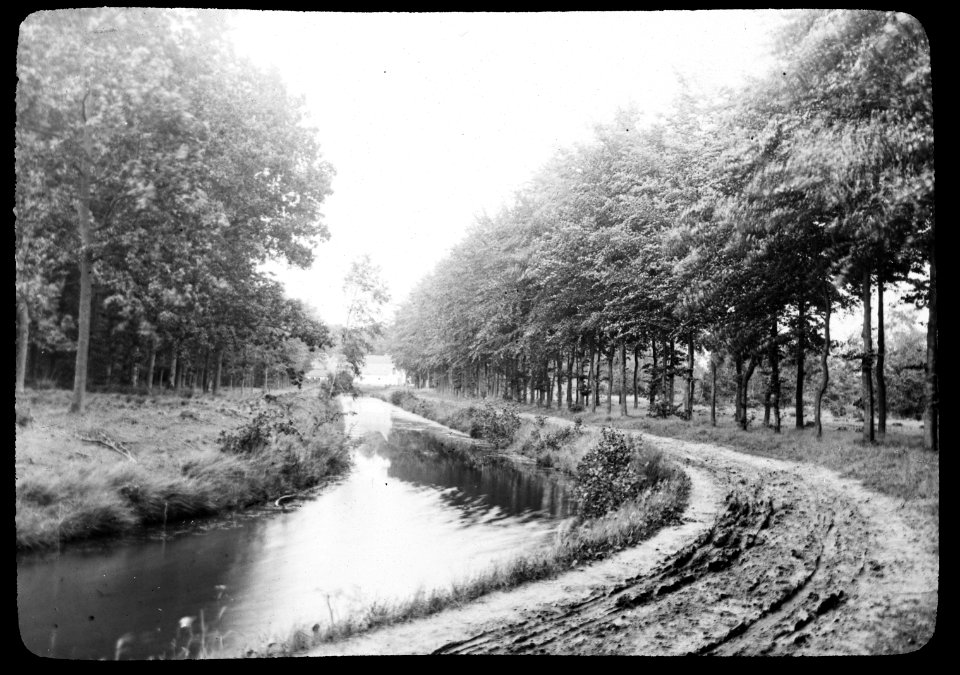 Wegbeplantingen, snoeien, lanen, wetering, Bestanddeelnr 194-0319
