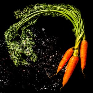 Food carrot cook