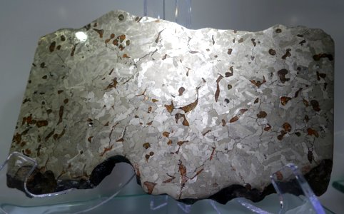 Weekeroo Station, Australia, Iron, IIE-an - Center for Meteorite Studies - Arizona State University - Tempe, AZ - DSC05782