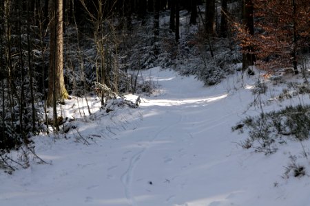 Weilquellpfad Taunus with snow 2021-04-06 07