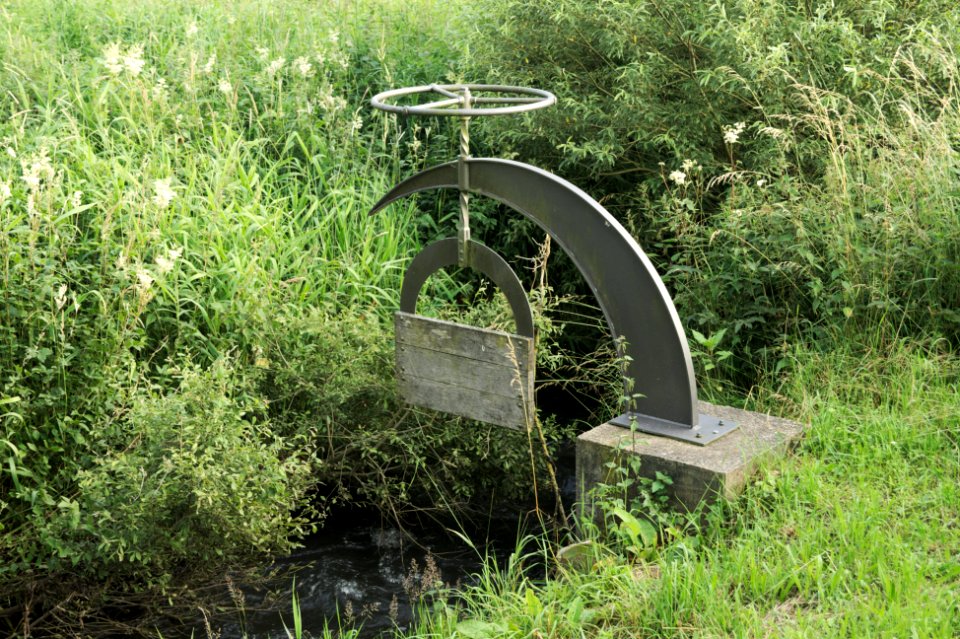 Weir Sculpture Park Steinebach