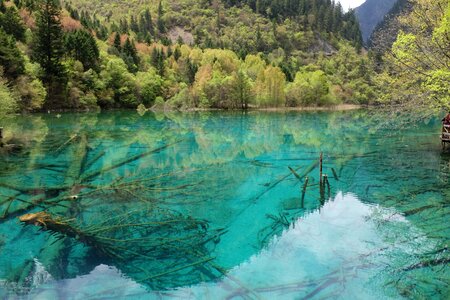 Sichuan china the scenery