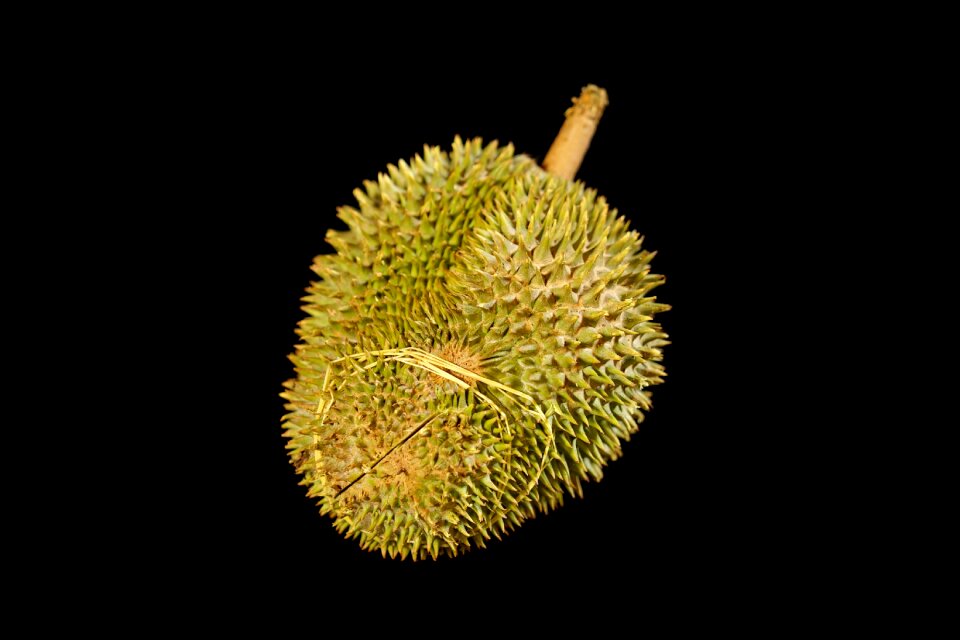Tropical delicious whole fruit
