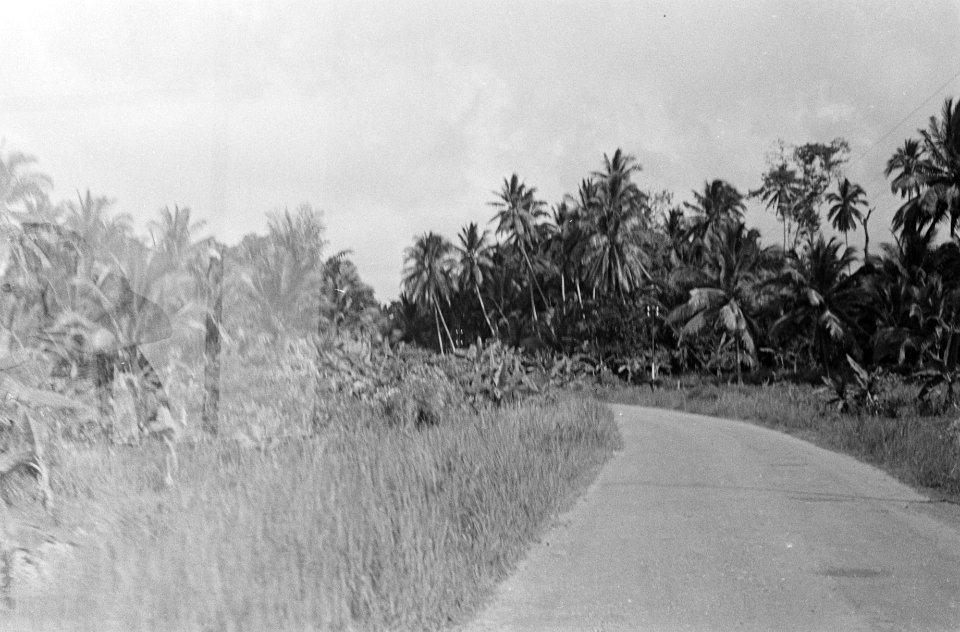 Weg in het landschap, Bestanddeelnr 131-2-4
