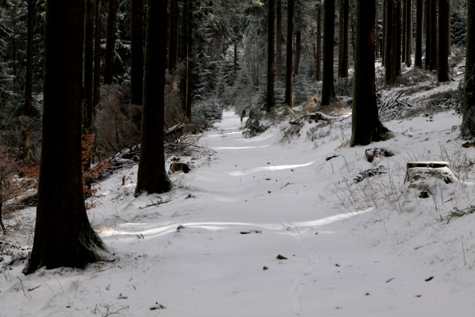 Weilquellpfad Taunus with snow 2021-04-06 22