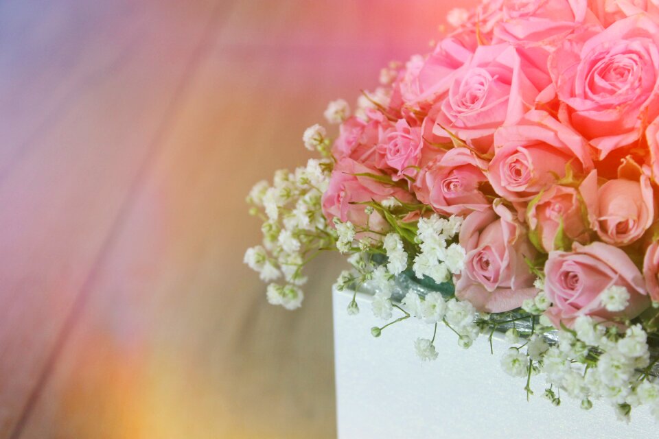 Floral petal romantic