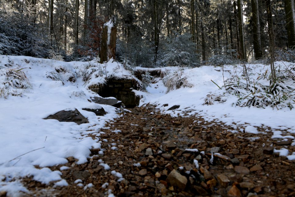 Weilquelle Taunus with snow 2021-04-06 07