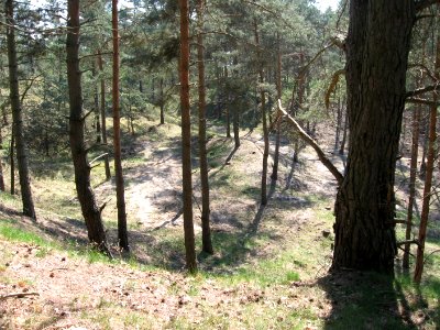 Weinberg 4