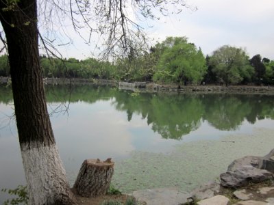 Weiming Lake, Peking University, 2011042210