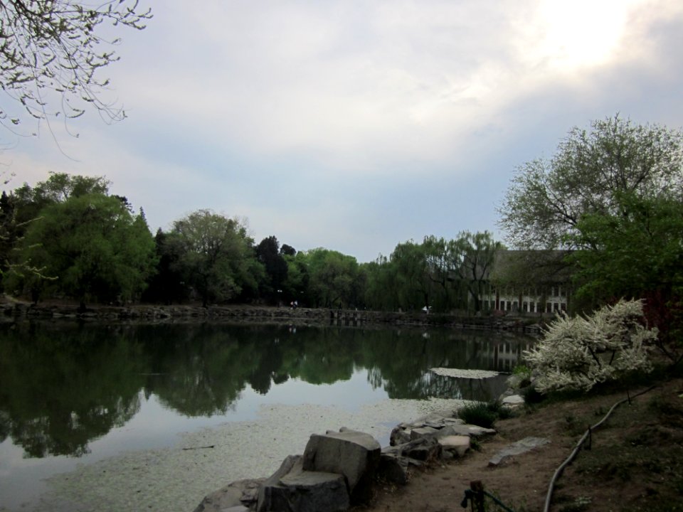 Weiming Lake, Peking University, 2011042209