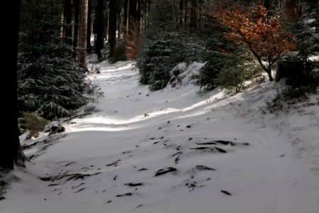 Weilquellpfad Taunus with snow 2021-04-06 19