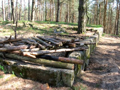 Weinberg 6