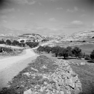 Weg langs boomgaard. Ommuurde stad aan de horizon, mogelijk Jeruzalem, Bestanddeelnr 255-5397