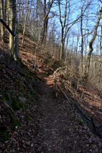 Weg im Seifersdorfer Tal (3)
