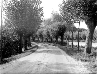 Weg met bocht en knotwilgen bij het Gein, Bestanddeelnr 252-0873