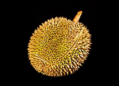 Tropical delicious whole fruit
