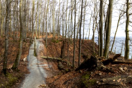 Weg Wissower Hochufer - Nationalpark Jasmund 2