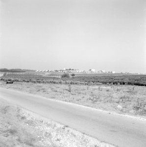 Weg in de buurt van de plaats Nir Elyahu, Bestanddeelnr 255-3693