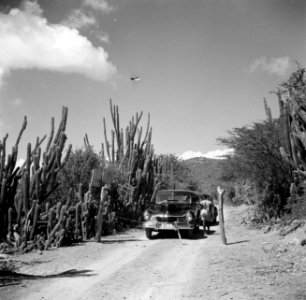 Weg op Curaçao bij landhuis Knip met wegversperring, Bestanddeelnr 252-7461