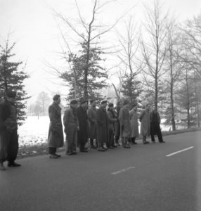 Wegen, bomen, sneeuw, arbeiders, kijken, Bestanddeelnr 251-8727