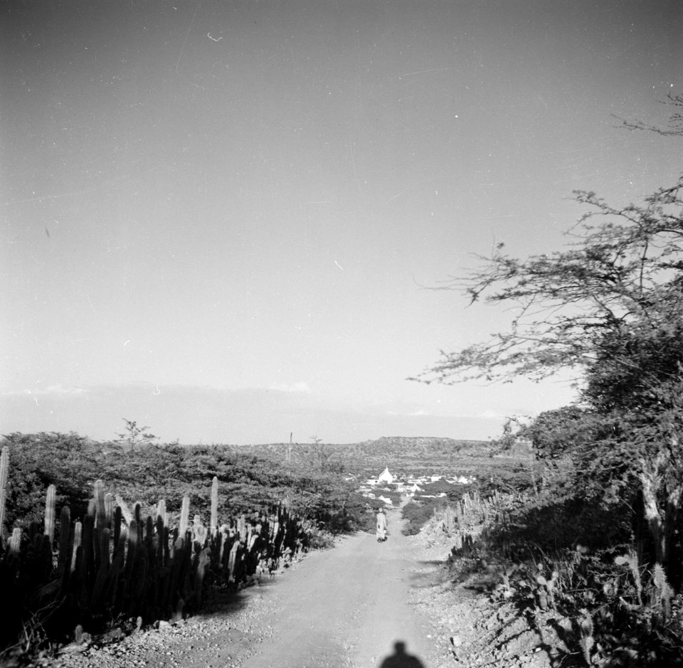 Weg op Bonaire met in de verte het dorp Rincón, Bestanddeelnr 252-8352