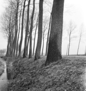 Wegen, bomen, sloten, Bestanddeelnr 251-9807