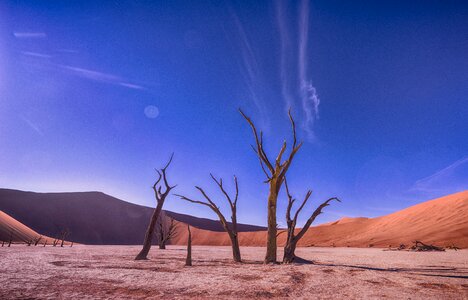 Blue sky desert photo