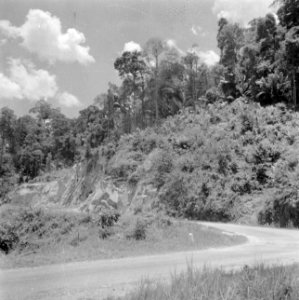 Weg in de bergen op West-Sumatra, Bestanddeelnr 255-6735