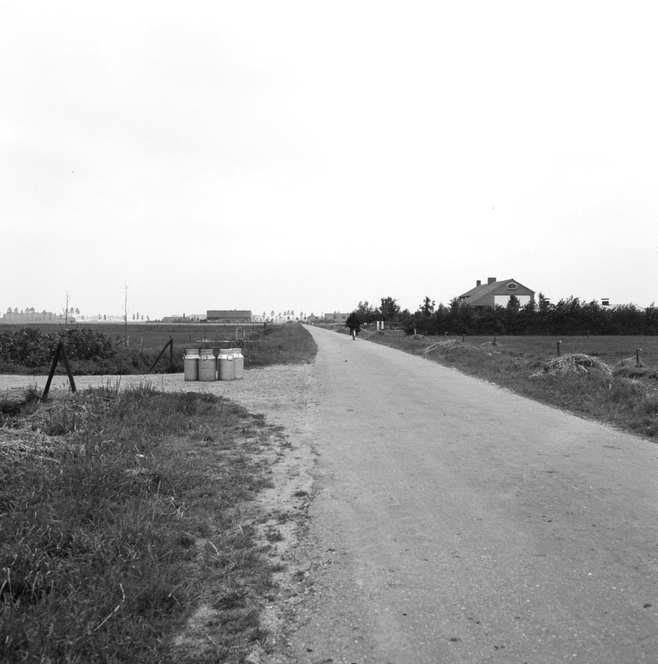 Wegaanleg bij Papesteeg (ruilverkaveling Maas en Waal), Bestanddeelnr 161-0760