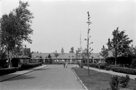Wegen, bomen, huizen, uitbreidingen, Groningen, Bestanddeelnr 170-0365