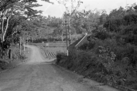 Weg door landschap, Bestanddeelnr 358-4-1