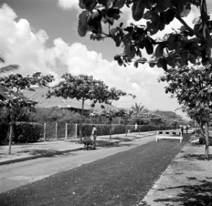 Weg in de wijk Rio Canario bij de olieraffinaderij van de CPIM op de Isla op Cur, Bestanddeelnr 252-7754