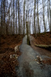 Weg Wissower Hochufer - Nationalpark Jasmund