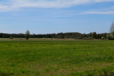 Wehrdamm Mellensee Kleiner Wünsdorfer See 2021-05-09 94