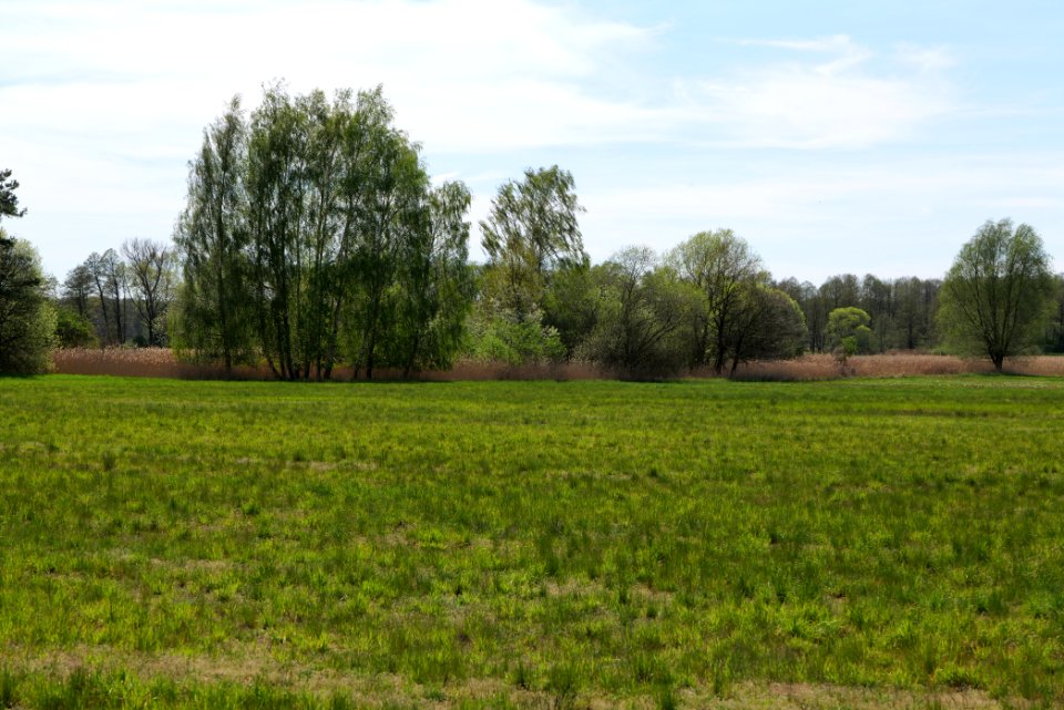 Wehrdamm Mellensee Kleiner Wünsdorfer See 2021-05-09 88