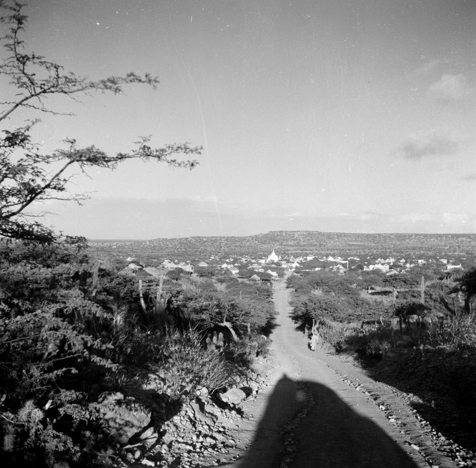 Weg op Bonaire met in de verte het dorp Rincón, Bestanddeelnr 252-8353