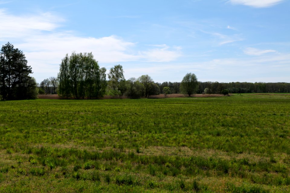 Wehrdamm Mellensee Kleiner Wünsdorfer See 2021-05-09 85