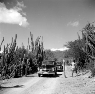 Weg op Curaçao bij landhuis Knip met wegversperring, Bestanddeelnr 252-7462