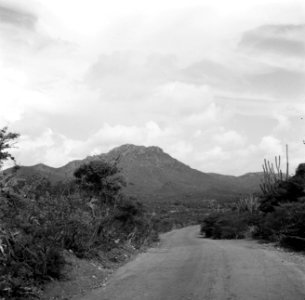 Weg op Curaçao, Bestanddeelnr 252-7460