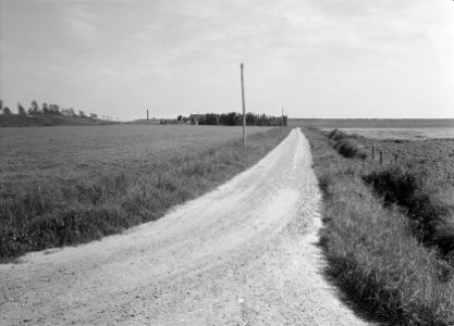 Wegaanleg. Schelphoek bij Scherpenisse, Bestanddeelnr 161-0750