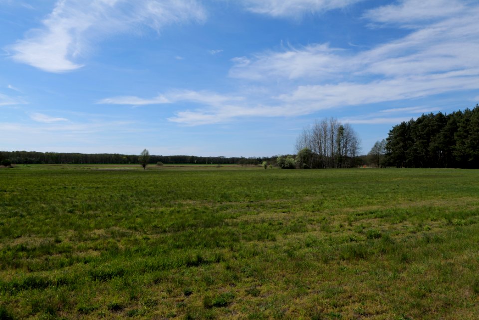 Wehrdamm Mellensee Kleiner Wünsdorfer See 2021-05-09 80
