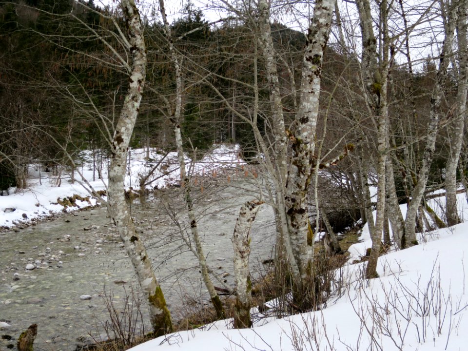 Weißach Kreuth 1