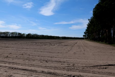 Wehrdamm Mellensee Kleiner Wünsdorfer See 2021-05-09 98